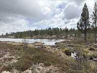 ØyvindBergkvam_20250920_68ce53734e675.jpg