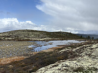 ØyvindBergkvam_20250920_68ce539b50238.jpg