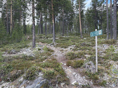 Stien er skiltet fra parkeringen