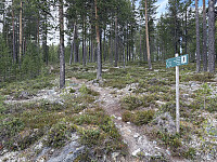 ØyvindBergkvam_20250920_68cebd8dab6ec.jpg