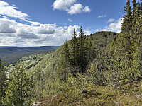 ØyvindBergkvam_20250920_68cebdab7b4b8.jpg