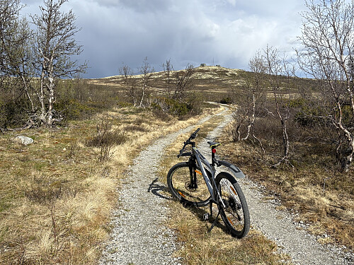 Tjørnåsen i sikte