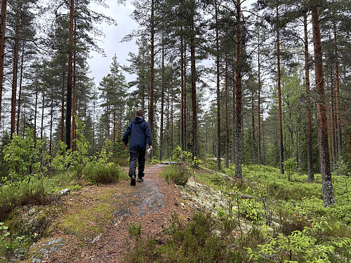 På toppen av Brattåsen