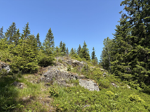 Snart på toppen av Svartåsen