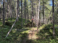 ØyvindBergkvam_20250920_68cf032c04d95.jpg