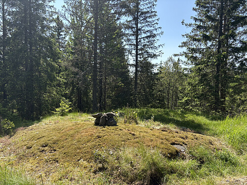 Strudsåsen 323 moh