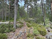 ØyvindBergkvam_20250920_68cf0678900d4.jpg