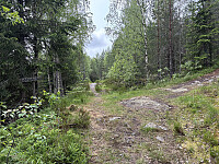 ØyvindBergkvam_20250920_68cf0683afaea.jpg
