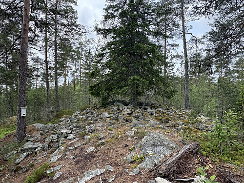 Røysa er et godt navn på denne toppen!
