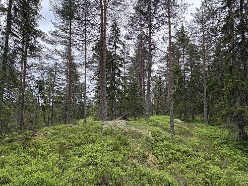 Kinnåsen Vest