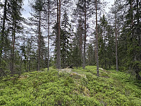 ØyvindBergkvam_20250920_68cf0a1ae06b3.jpg