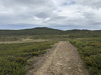 ØyvindBergkvam_20250921_68cf9afac06e8.jpg