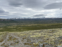 ØyvindBergkvam_20250921_68cfa0ded15a6.jpg