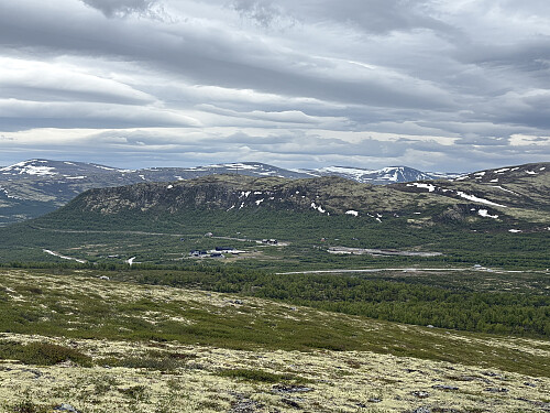 Mot Hjerkinn og Geitberget