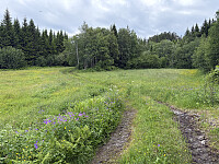 ØyvindBergkvam_20250921_68cfa4a5a2922.jpg