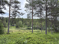 ØyvindBergkvam_20250921_68cfa4b6c773a.jpg