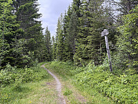 ØyvindBergkvam_20250921_68cfa927aad1d.jpg