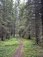 ØyvindBergkvam_20250921_68cfa93c30acb.jpg
