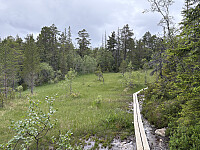 ØyvindBergkvam_20250921_68cfaead8f4a4.jpg