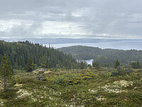 ØyvindBergkvam_20250921_68cfaece08bca.jpg