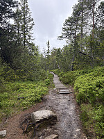 ØyvindBergkvam_20250921_68cfb1b42746a.jpg