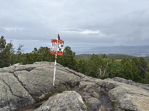 Geitfjellet i Trondheim. Litt av byen ses bak til høyre