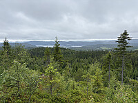 ØyvindBergkvam_20250921_68cfb52ed78f0.jpg