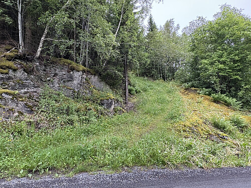 Her går den bratte og gjengrodde skogsveien oppover fra Djupvikveien