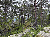 ØyvindBergkvam_20250921_68cfc4944508d.jpg