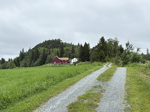 Den øverste gården med hundene, med Grenneåsen like bakenfor