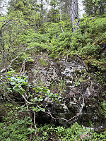 ØyvindBergkvam_20250921_68cfcf057582c.jpg