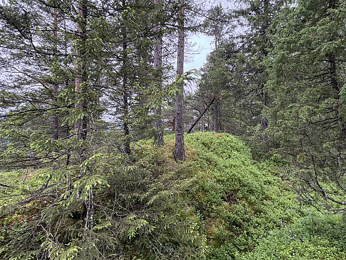 Toppunktet på Grenneåsen i Levanger
