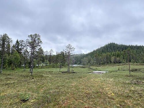 På vei innover mot Svarttjønna. Rundhaugen til høyre