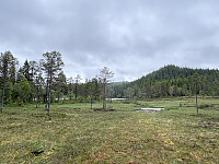 ØyvindBergkvam_20250921_68cfd4574db37.jpg