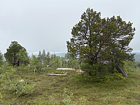 ØyvindBergkvam_20250921_68cfd47c2bf03.jpg