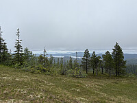 ØyvindBergkvam_20250921_68cfd48671c45.jpg