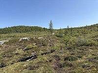 ØyvindBergkvam_20251016_68f1297e15202.jpg
