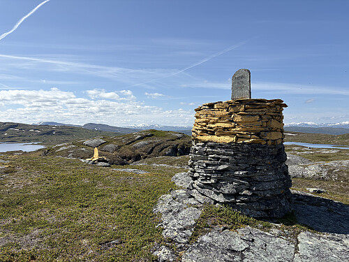 Riksrøys 161 A