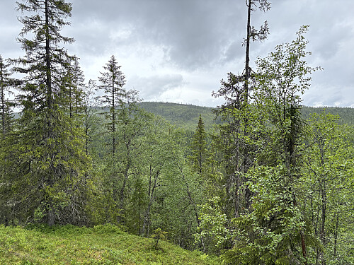 Stokkvola sett fra oppstigningen til Hovsetervola