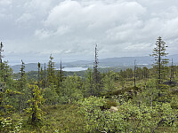 ØyvindBergkvam_20251017_68f234708d613.jpg