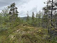 ØyvindBergkvam_20251017_68f23475d939a.jpg