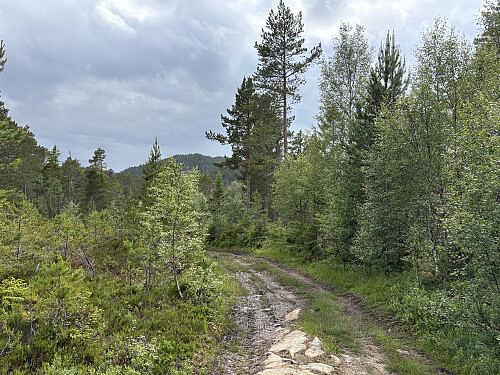 Fånnåvarden i bakgrunnen