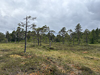 ØyvindBergkvam_20251017_68f23df54b107.jpg