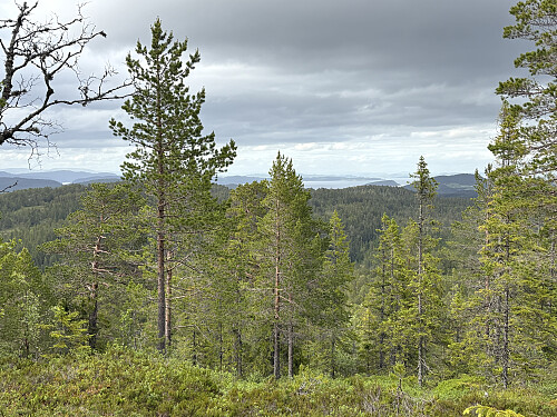 Litt utsikt nordover på vei opp den siste stigningen til Høgklimpen