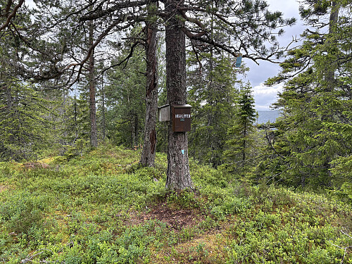 Høgklimpen i Levanger