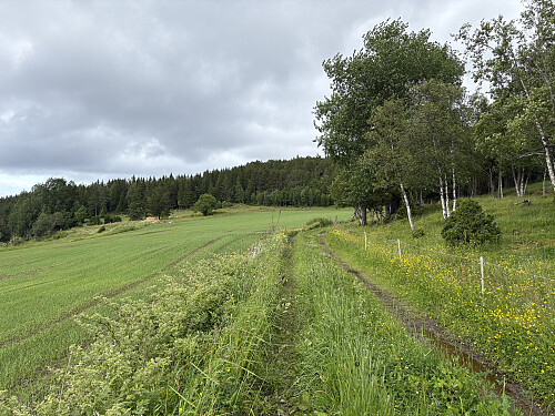 Stien var lagt på utsiden av gården på Nordre Kjølen