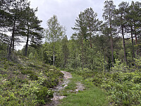 ØyvindBergkvam_20251017_68f25374ac2b6.jpg