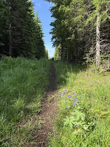 På vei opp stien fra Ersås