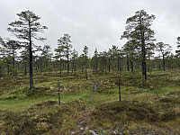 ØyvindBergkvam_20251021_68f7848990a0a.jpg