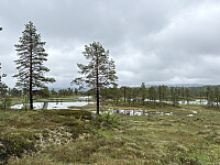 ØyvindBergkvam_20251021_68f784906293c.jpg